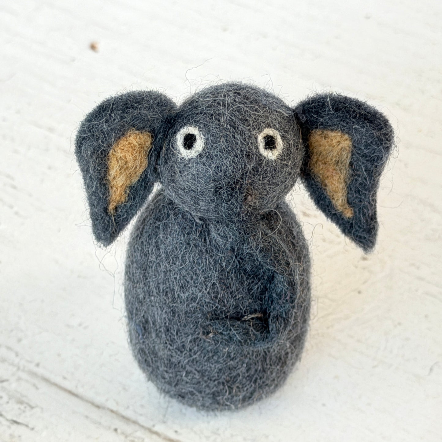 動物園 コンプリートセット