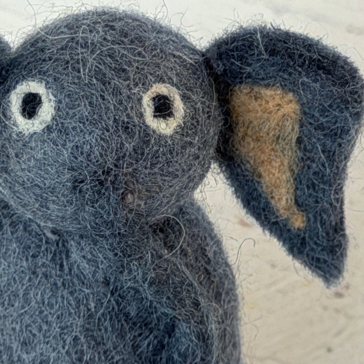 動物園 コンプリートセット