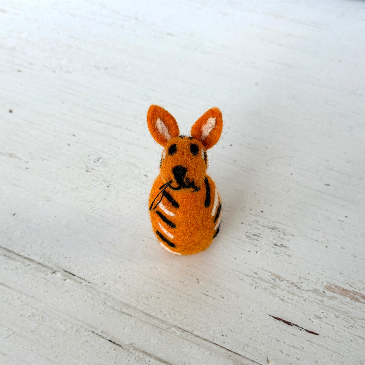 動物園 コンプリートセット