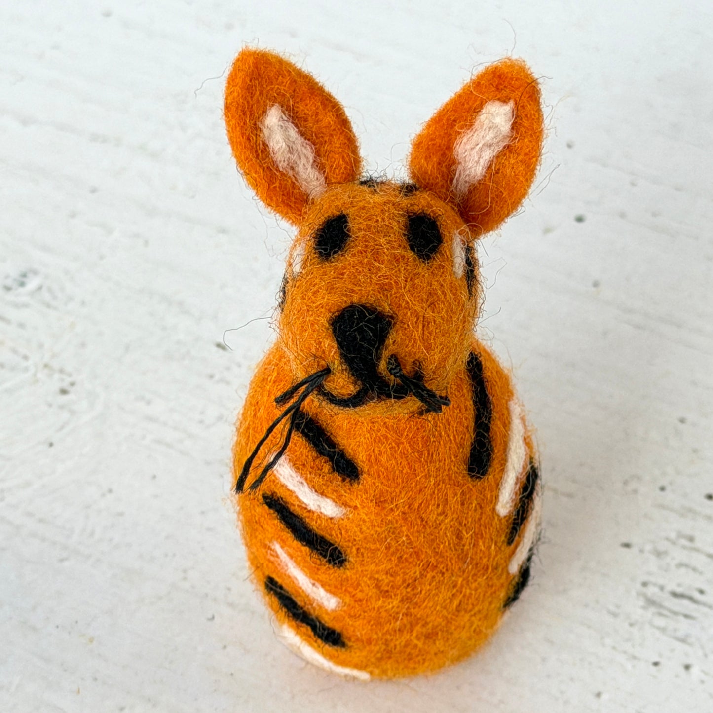 動物園 コンプリートセット