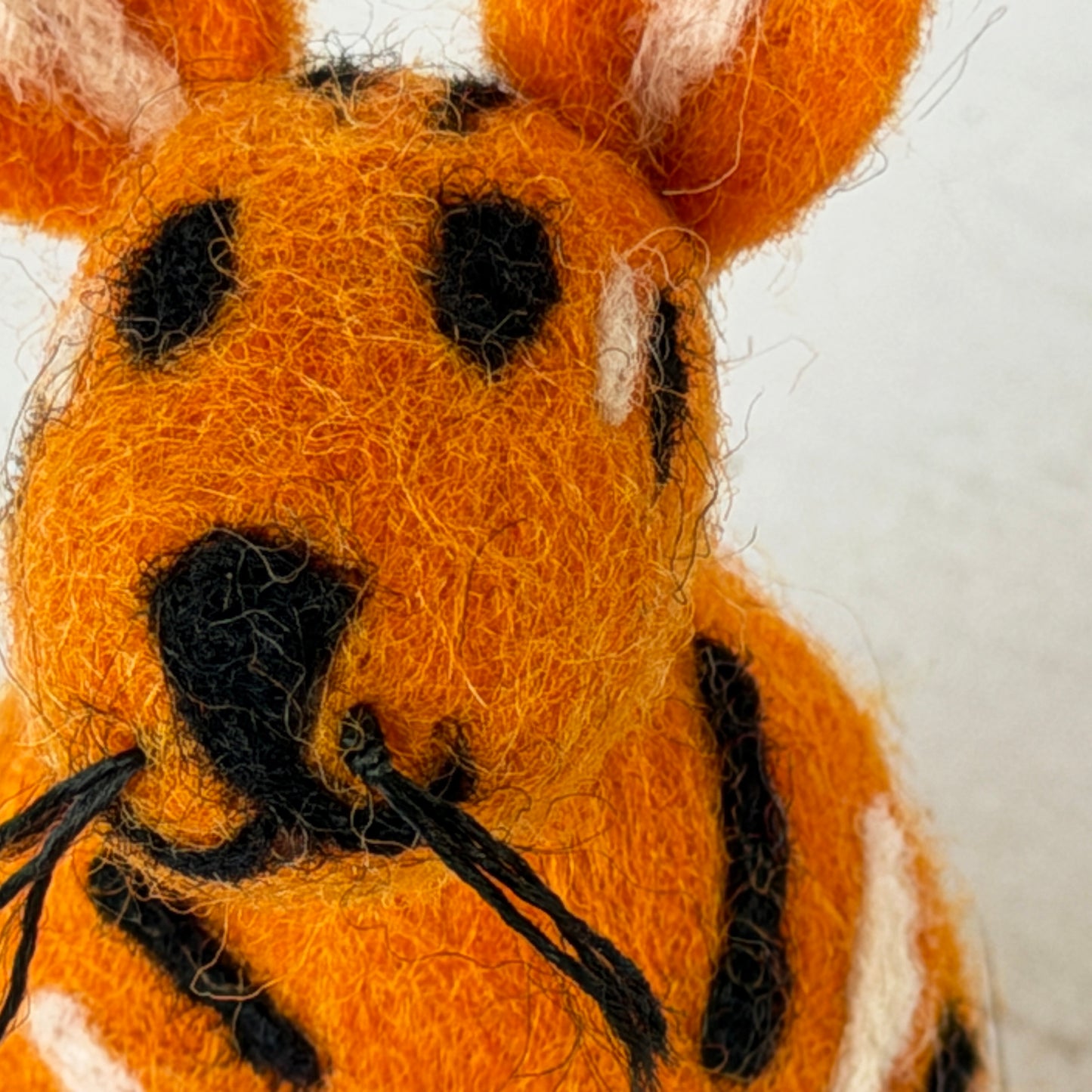 動物園 コンプリートセット