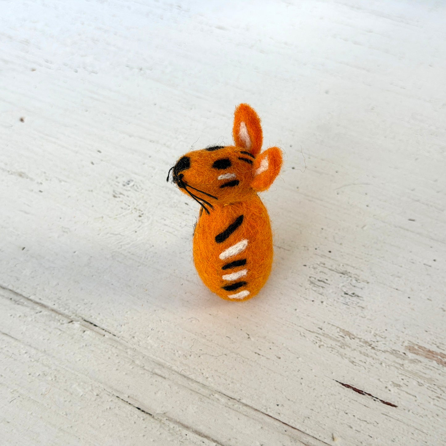 動物園 コンプリートセット