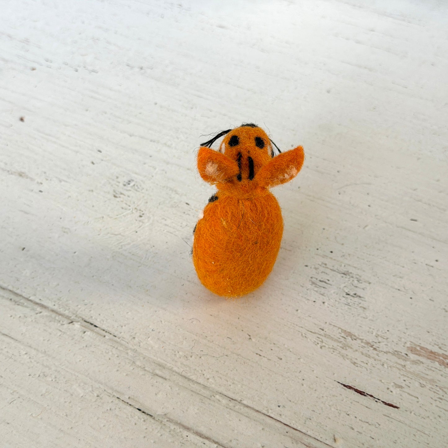 動物園 コンプリートセット