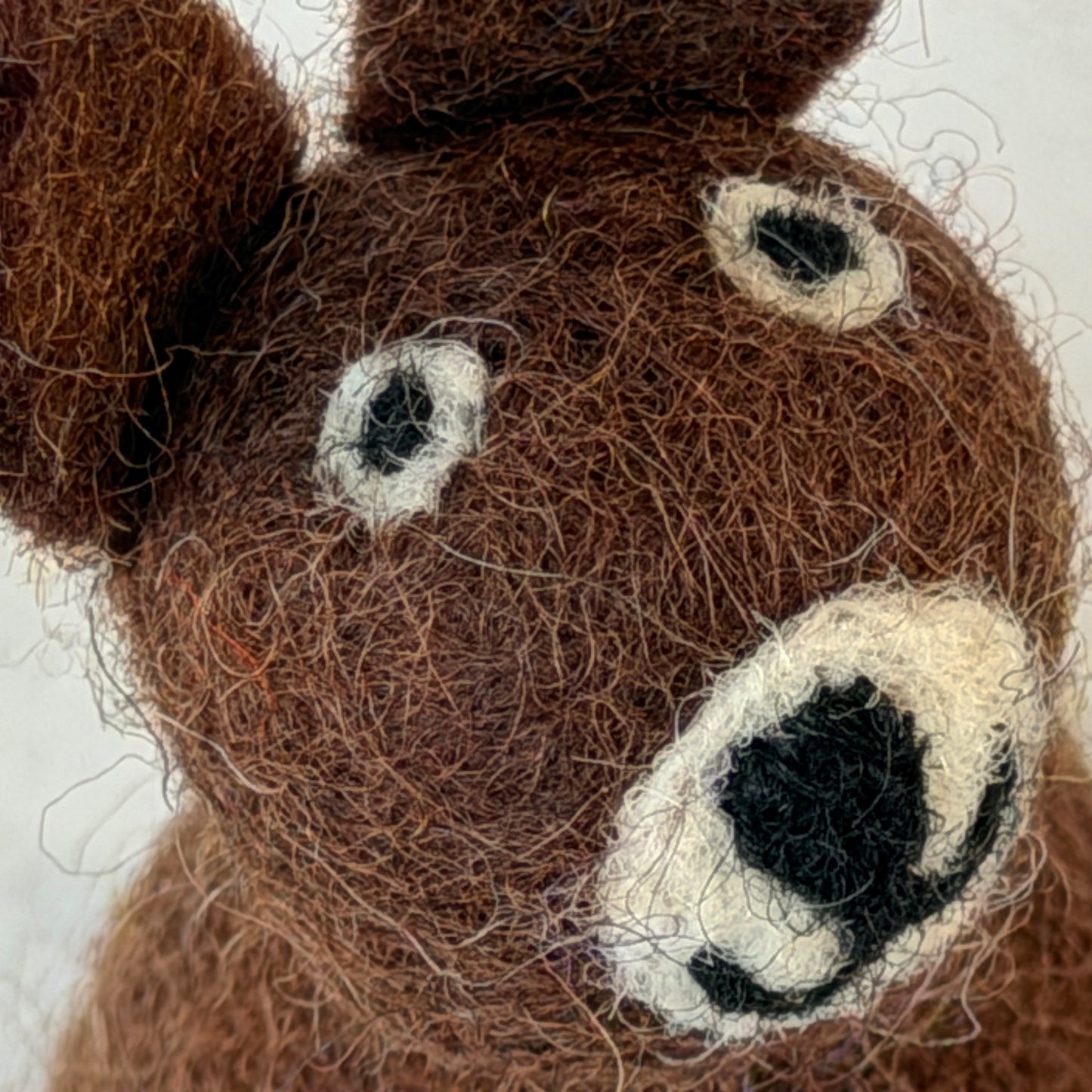 動物園 コンプリートセット