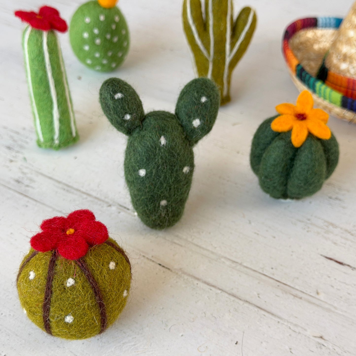 メキシコ土産 コンプリートセット