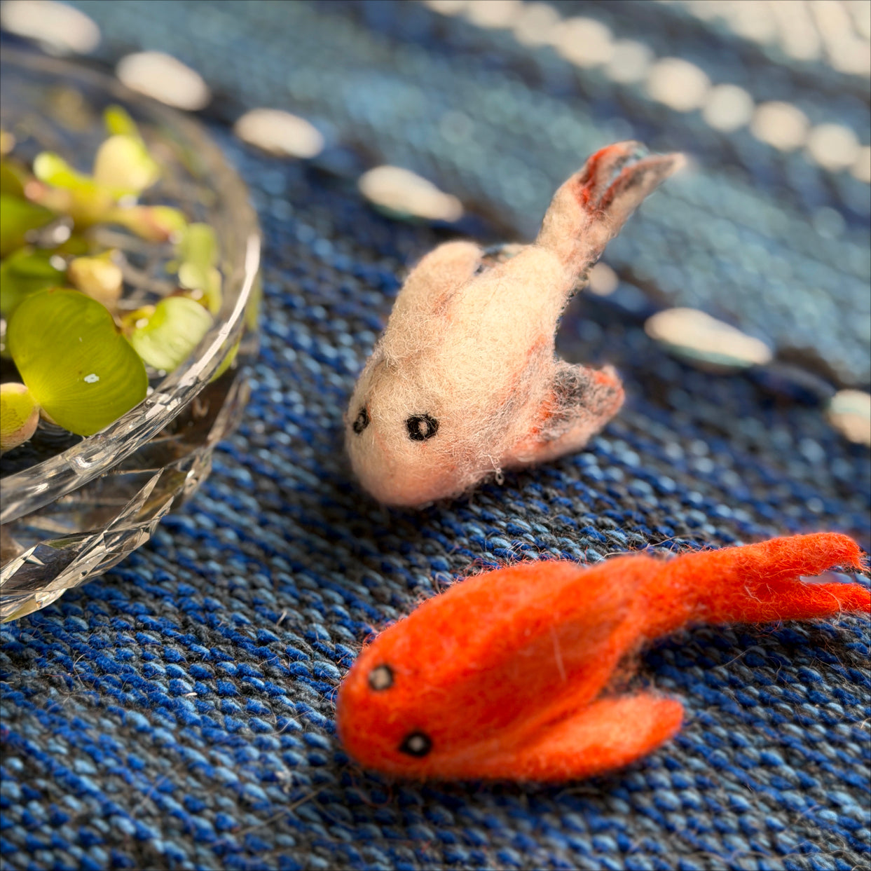 《New》金魚セット