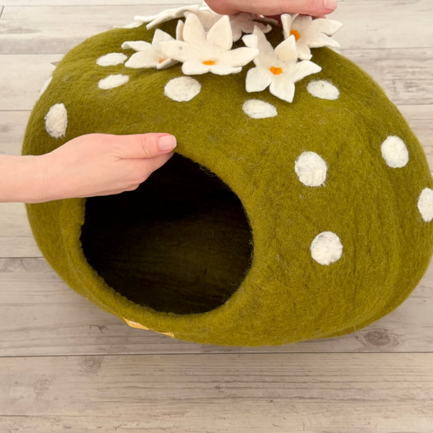 花サボテンのウーリーちぐら