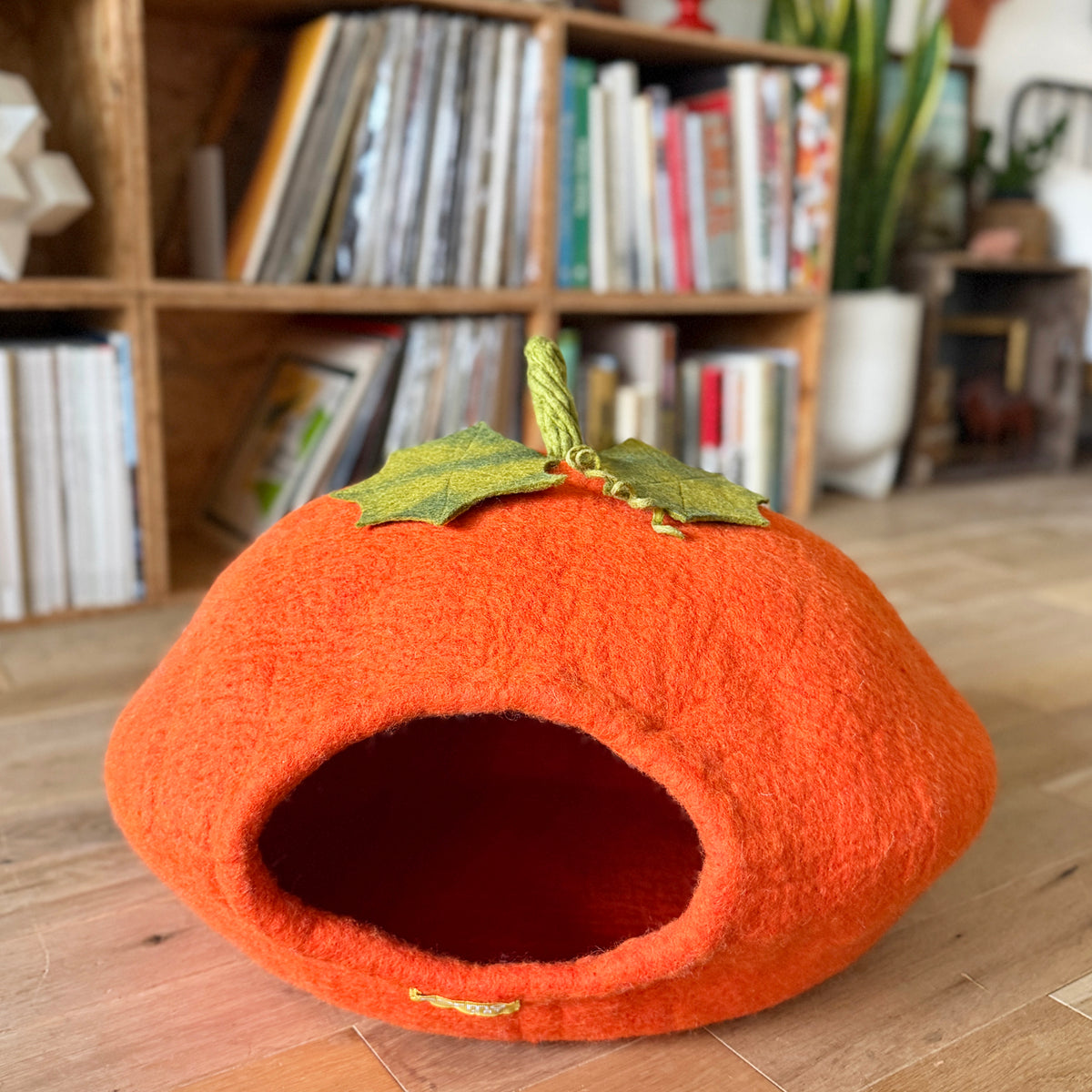 《New》パンプキンのウーリーちぐら