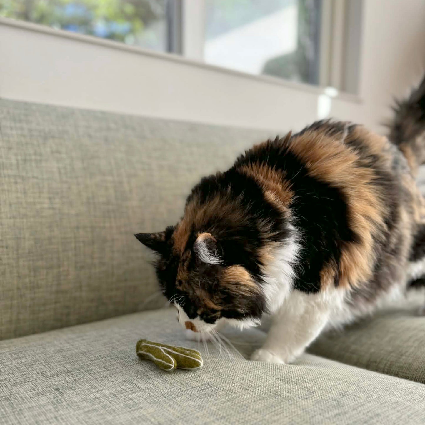 メキシコ土産セット