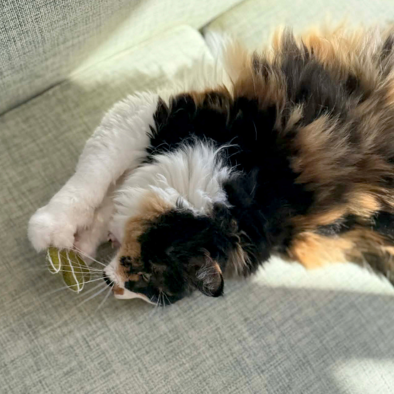 メキシコ土産セット