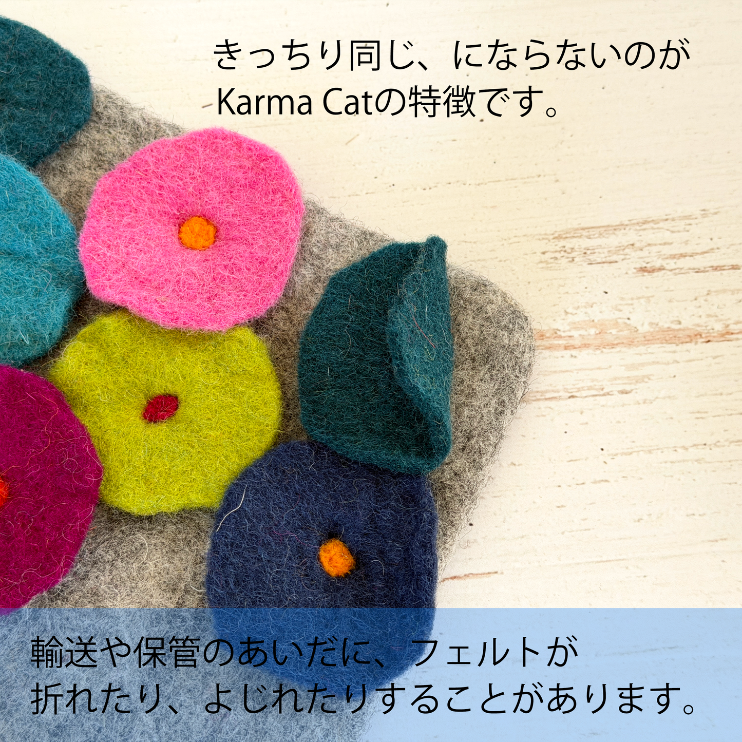 花サボテンのウーリーちぐら