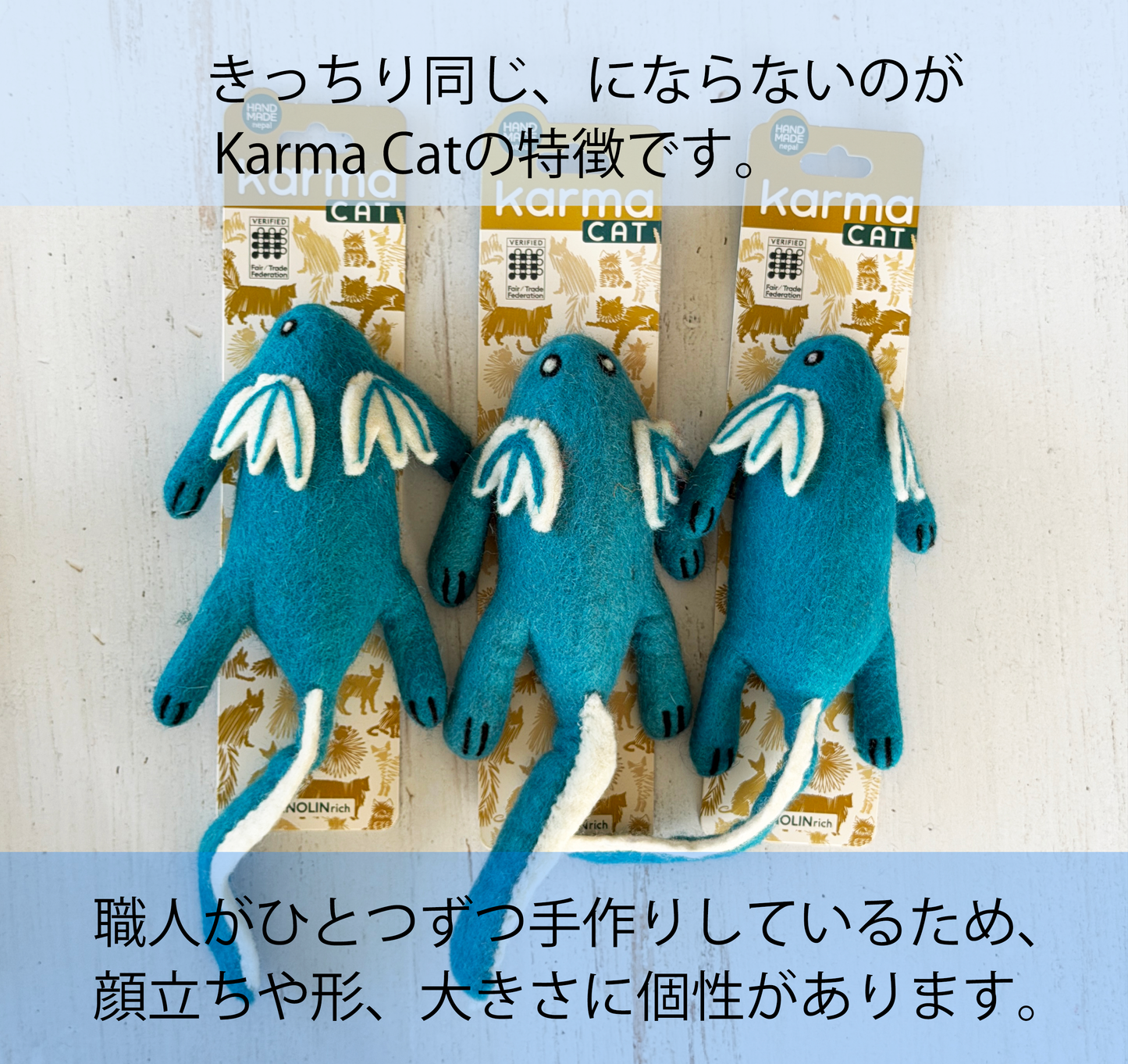 動物園 コンプリートセット