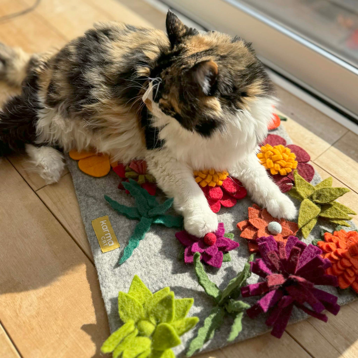 ひなたぼっこのお供に