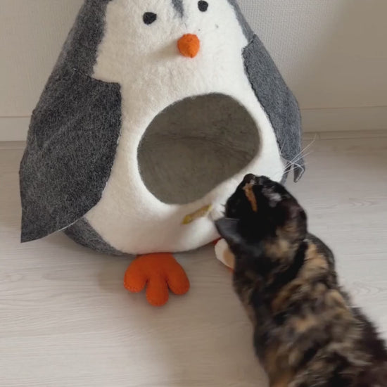 くちばしをかじってから、入ります