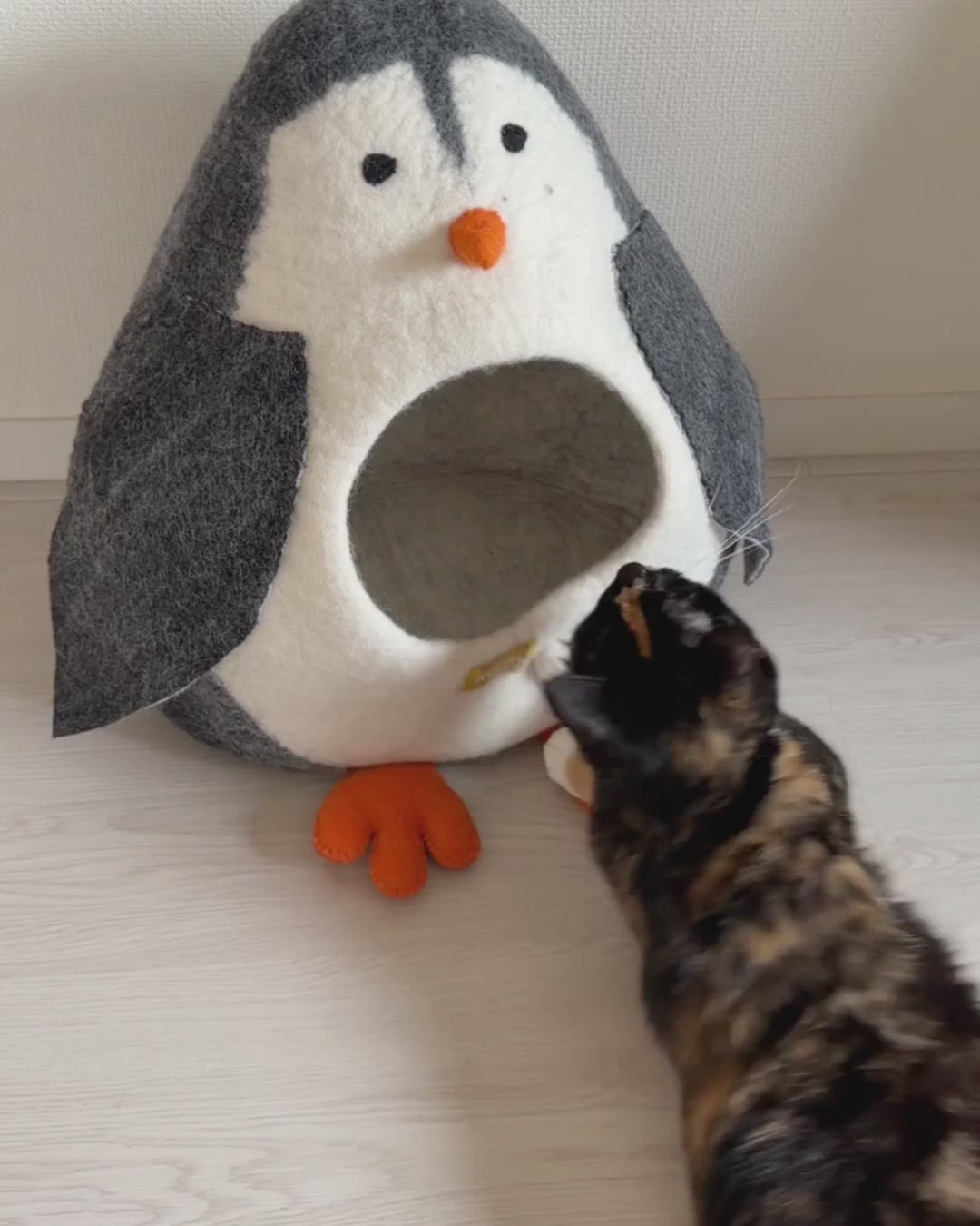 くちばしをかじってから、入ります