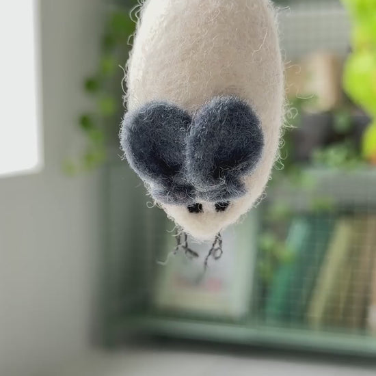 ねこ目線ではこんな感じ