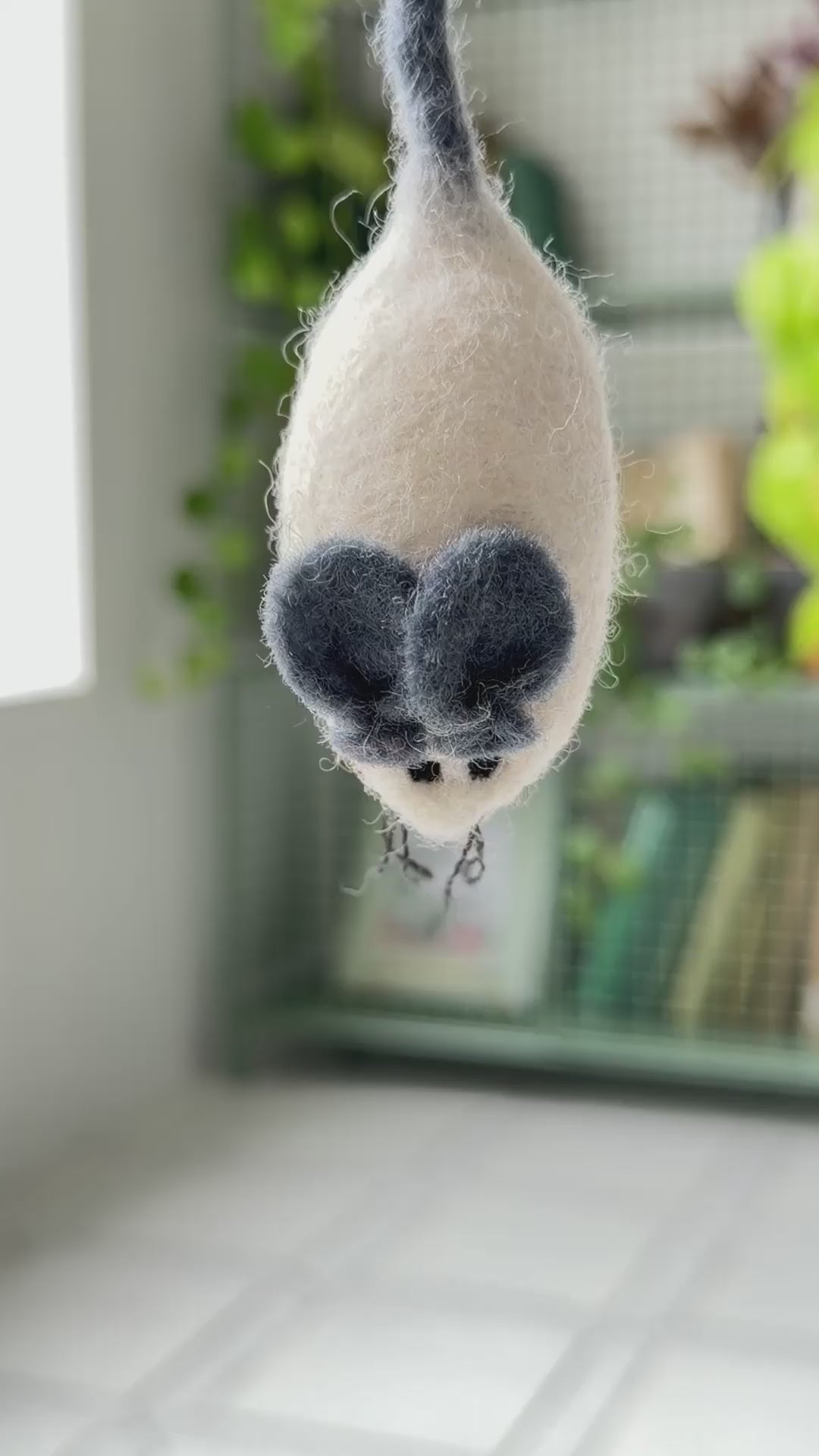 ねこ目線ではこんな感じ