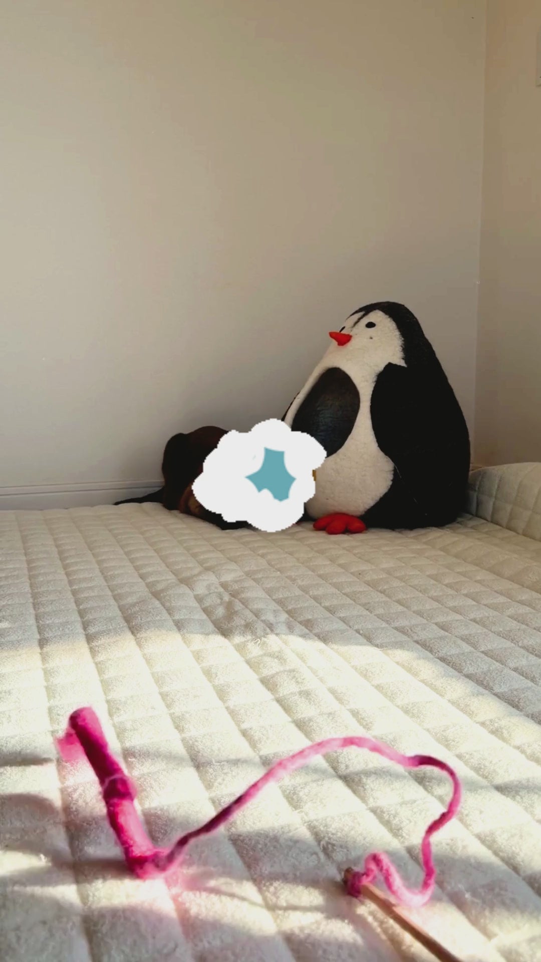 早送りではありません